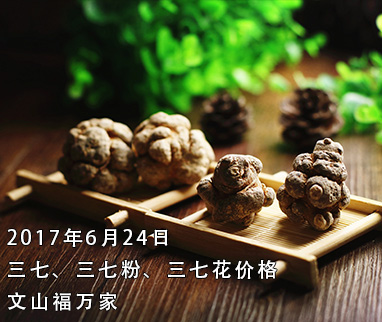 今年三七價格深度解析與行情預測