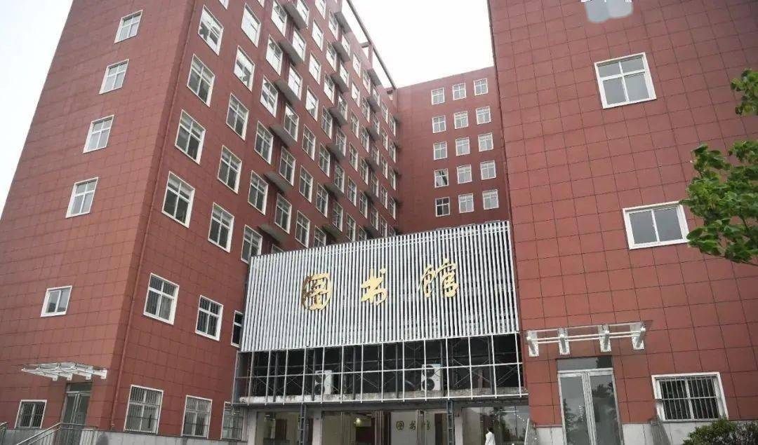 最新木皮行業(yè)招聘信息速遞