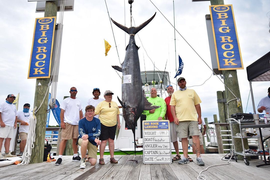 釣馬林魚比賽，自然美景探索之旅