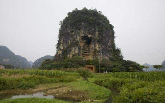 天等向都鎮(zhèn)最新動(dòng)態(tài)更新